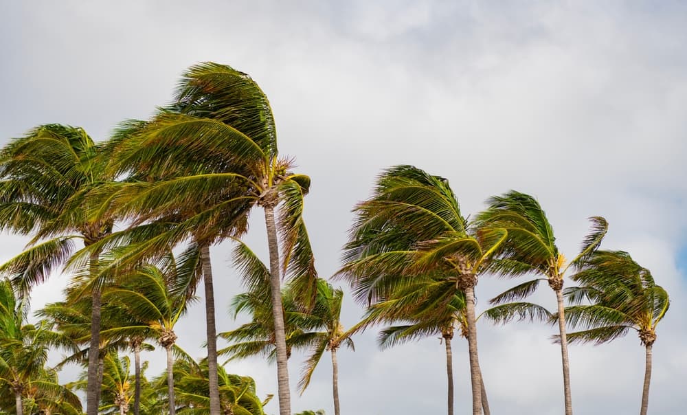 Commercial Real Estate Investors Face Indefensible Risk by Assuming Stable Income After Disasters