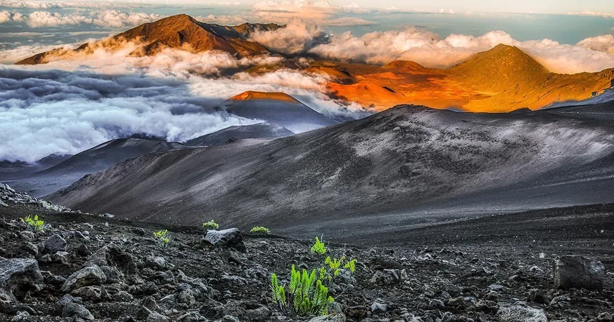 This Week Hawaii Marks 60 Years with Launch of Expanded Hybrid Media Initiative and Digital Tracking Tools