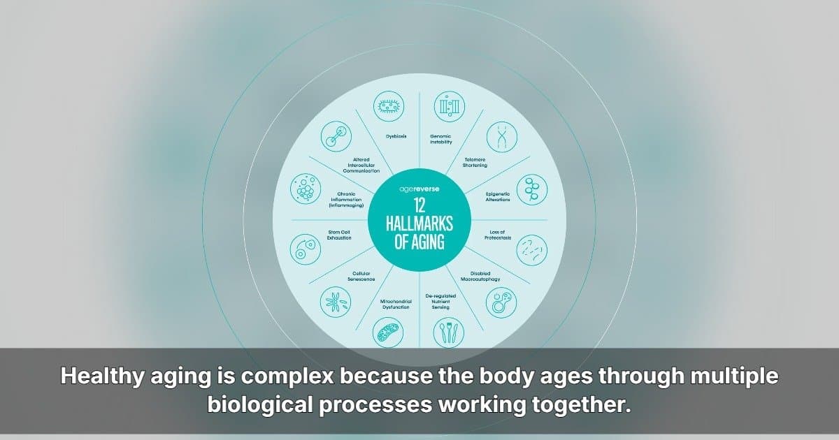 AgeReverse Announces U.S. Expansion With Comprehensive Longevity Supplement RESURGE
